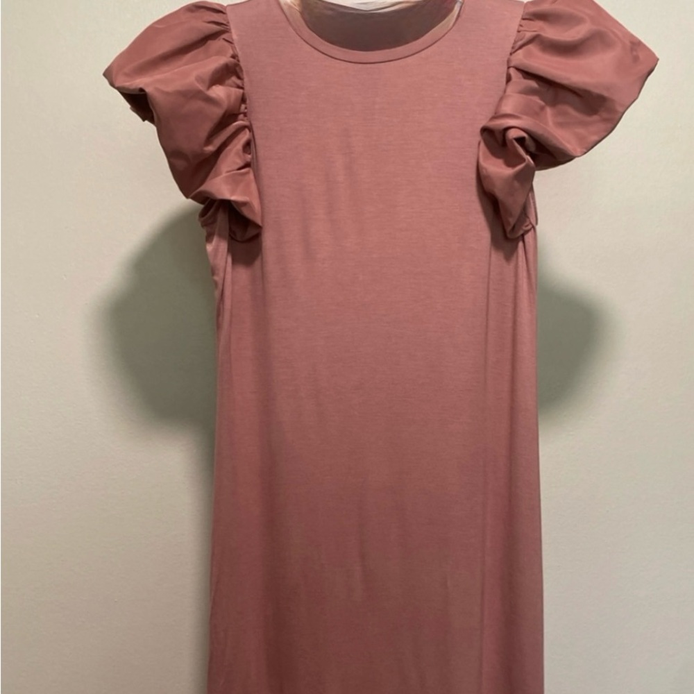 Express Mauve Tan T shirt Dress With Puff sleeves. NWT. XS
